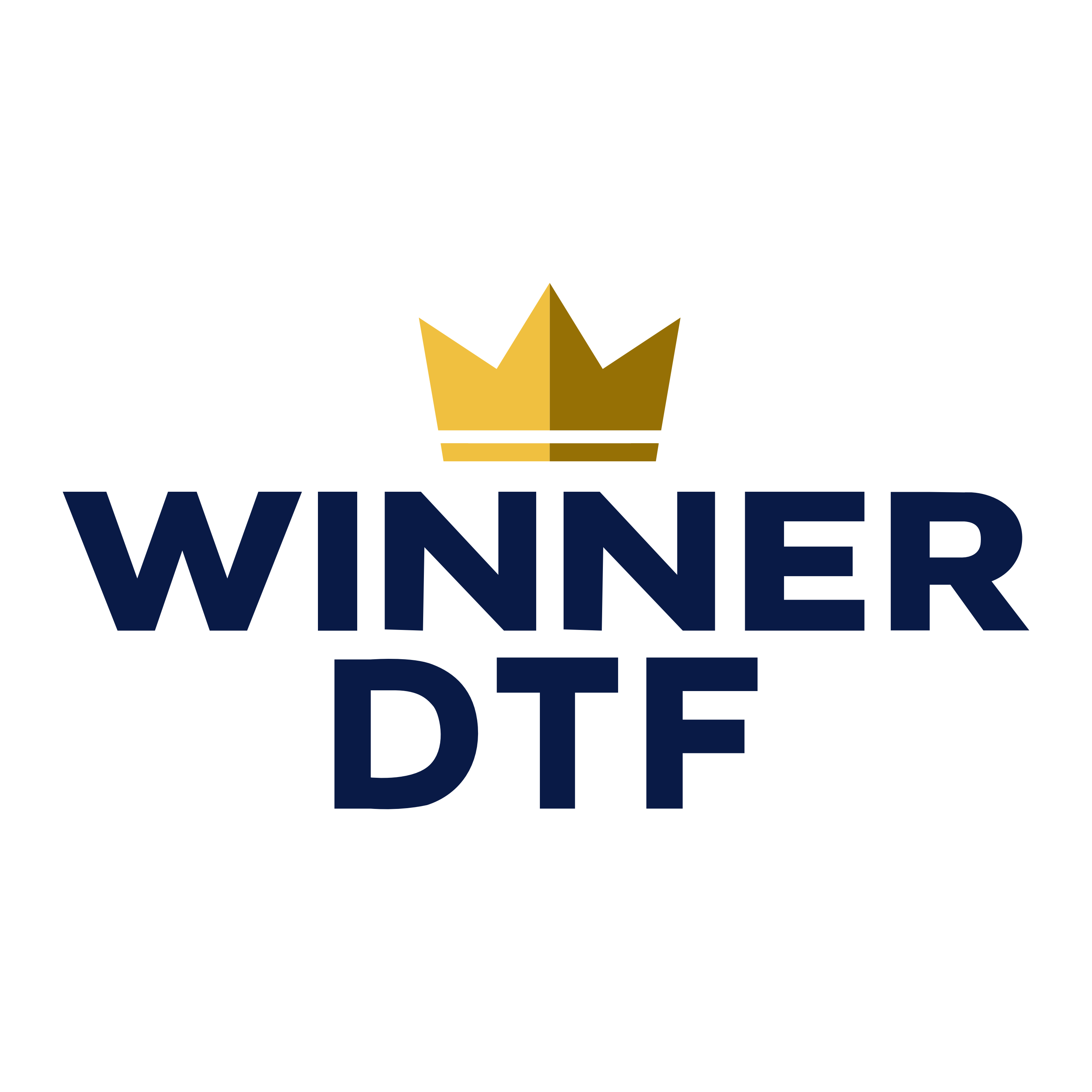 Guangdong Winner DTF Co., Ltd. logo