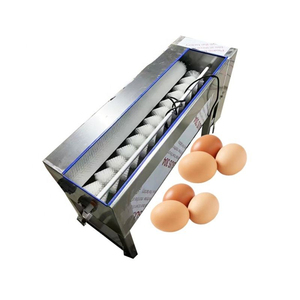 Automatic Single & Double Row Commercial Egg Washing Machine with Motor & Bearing for Bakery and <b>Vegetable</b> Processing Plants - Product Image 2