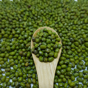 Fresh Crop FitTree International Indian Green Mung <b>Beans</b> Premium Grade Whole Pulses 24 Months Shelf Life Bulk for International - Product Image 1