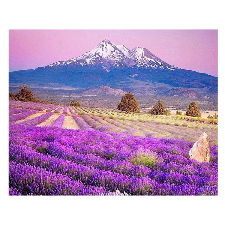 Lukisan berlian 5d lukisan kanvas pemandangan bor persegi untuk dijual Diy AB bor penuh Lavender gambar pemandangan gunung salju