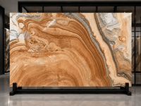 Dalles translucides en onyx jade paon pour murs rétroéclairés, dessus de table décoratifs, tables d'appoint, dessus de meuble-lavabo et revêtements intérieurs