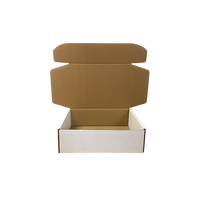 Boîte d'expédition personnalisée haut de gamme de style avion pour le branding des petites entreprises, emballage robuste pour envoi postal