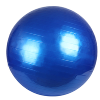 Offre Spéciale PVC PHYSIQUE De Massage Thérapie Équilibre Pilates Fitness Gym Yoga Ballon D'exercice
