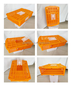 YCZ Direktverkauf ab Werk Kunststoff-Transportkiste für Küken, Wachteln und Lebende Geflügel - Product Image 3