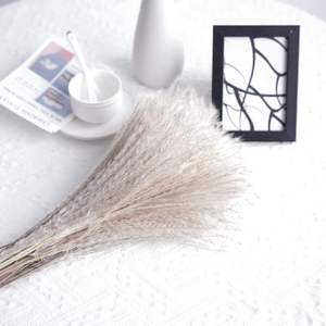 Pétalos de Rosa, Lavanda, <span class=keywords><strong>Eucalipto</strong></span> y Hierba de Pampas Seca en Trozos Pequeños |   Decoración Bohemia Natural, Ecológica y Duradera para el Hogar y Eventos | - Product Image 6