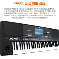 Japan ORIGINAL NEW KORG PA 600 PA600 Key Keyboard PA 600 61keys