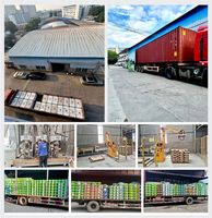 Perekat Ubin Batu C600 Super Fleksibel Anti-Lekuk untuk Panel Marmer Besar, Cocok untuk Dalam & Luar Ruangan, Tahan Segala Cuaca