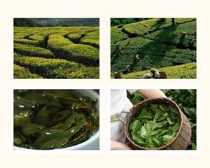 في نهاية المطاف الذكور تعزيز الملك كبسولات الطبيعية 13 في 1 ملحق الابتنائية للرجال نمو العضلات الهزيل والانتعاش - Product Image 5