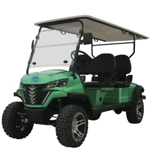 电动高尔夫球车4座地板垫电动推带遥控高尔夫球车饮料高尔夫球车底盘