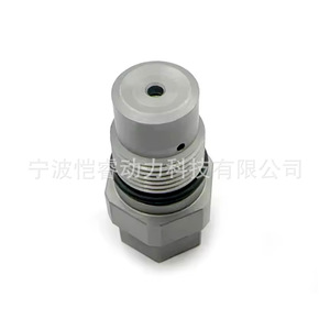 Soupape de surpression de carburant Common Rail 4384241 4384241-06 pour moteur Iveco de service moyen, pièce de rechange - Product Image 3