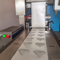 Machine d'emballage sous blister de lentilles de contact cosmétiques entièrement automatique