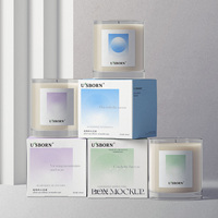 Private Label Soja wachs 100ml Duft kerze Luxus Farbbox Home Duft Weihnachts geschenk Großhandel