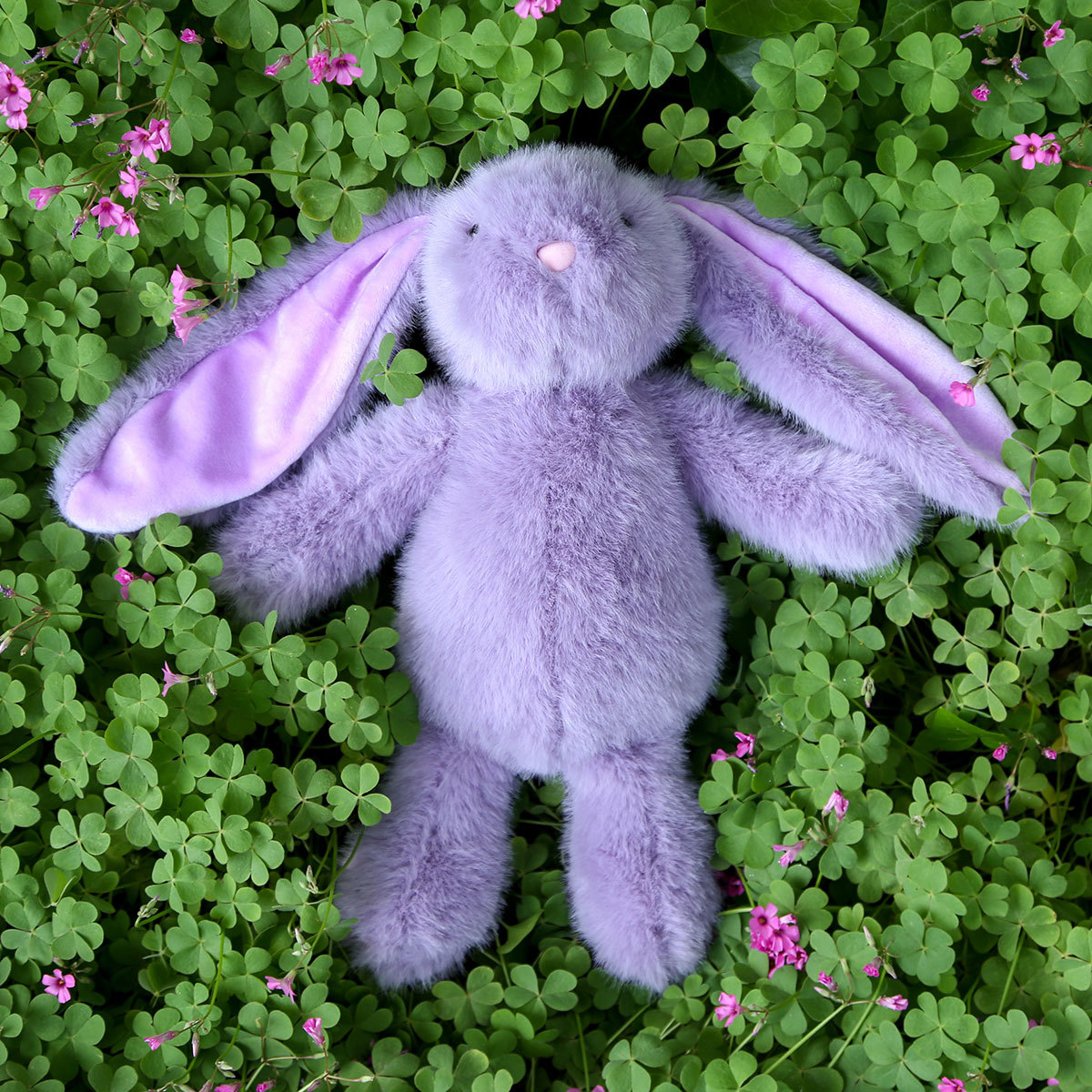 Conejo Nini - morado