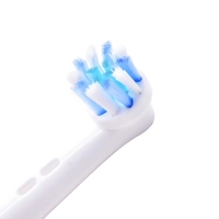 Fournitures en gros pour soins bucco-dentaires pour adultes, tête de brosse à dents en nylon pour le nettoyage des dents, pour usage hôtelier et domestique