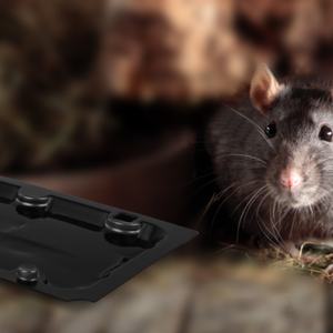 Yakalamak fare fareler plastik yapışkan yapıştırıcı fare tutkal tuzağı yapışkan sıçan tuzağı tutkal tuzağı sıçan yapışkan panoları - Product Image 4