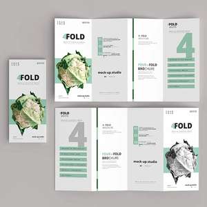 Çocuk Eğitimi için Özelleştirilmiş Kağıt Baskı Hizmeti. Özel Boyutlar. Ofset Baskılı Broşürler ve El İlanları. Karton Kağıt CMYK - Product Image 1