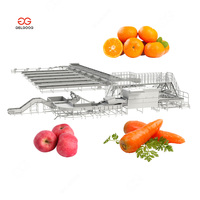 Zhengzhou Fruit- en Groente Opslag Zoete Aardappel Optische Sorteer- en Verpakkingsmachine Olijven Sorteren op Kleur Knoflook