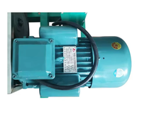 Machine à jus de canne à sucre, broyeur de canne à sucre, extracteur de jus de canne à sucre efficace, moteur pour restaurant, usage agricole, 4 kW, 220/380 V