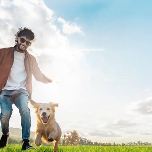 ODM/OEM Marque Privée Friandises à Mâcher pour Chiens pour les Hanches et les Articulations - Soutien à la Mobilité, Friandises Tendres avec Glucosamine et Vitamine D3 - Product Image 5