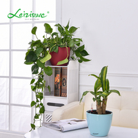 Pot pour plantes décoratives de forme ronde, vente directe d'usine, arrosage automatique d'intérieur