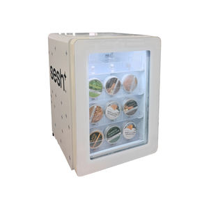 <span class=keywords><strong>Retro</strong></span> Minikoelkast Draagbare Portaal Koelbox Voor Één Temperatuur - Product Image 3