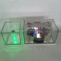 Vente flash : Rekebot en verre avec boule dansante pour le café éthiopien Buna Silver Wave