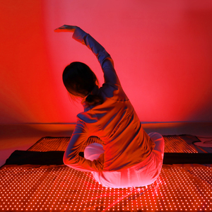 2025 tùy chỉnh toàn thân 660nm 850nm liệu pháp ánh sáng đỏ hồng ngoại LED xung tần số Túi ngủ chúng tôi cắm loại đứng - Product Image 6