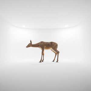Scultura di Cervo in Fibra di Vetro su Misura MALTON, Statua di Animale Maschio in Resina con Design 3D - Product Image 6