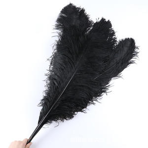 En gros Vert Clair Géant Plume 40-45cm Plume D'<span class=keywords><strong>autruche</strong></span> - Product Image 4