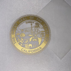 Design personalizzato Plastisol decorazione tessile digitale trasferimento di calore t-shirt stampa adesivo pellicola chimica Dtf stampa unita Expo - Product Image 3