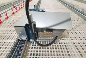 Chất lượng cao Tự động chuỗi thức ăn Gà Thịt giống chuỗi hệ thống cho ăn - Product Image 5