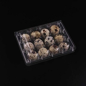 Kostenlose Muster Günstige Großpackung Kunststoff 12er Wachtelei-Träger Kartonbox Behälter mit Griff Individuell Bedruckte Verpackungsetiketten - Product Image 5
