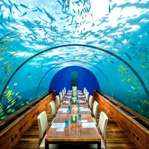 Commercial Fish Tank Clear Thick Acrylic Panels Big Window Public Restaurant Aquarium