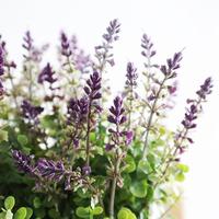 Bouquet de lavande artificielle en soie, vente en gros, faible MOQ, pétales de fleurs réalistes pour jardin surélevé de Pâques