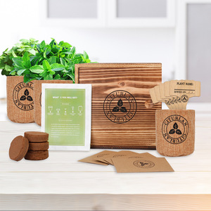 Kit de cultivo de jardín, juego de bonsái, crecimiento creativo de plantas y plantación, Kit de plantación biodegradable, <span class=keywords><strong>maceta</strong></span> - Product Image 6