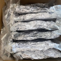 50cm mère fils sceau cinq pièces en peluche PP coton rempli fermeture éclair jouet pour garçons filles soulagement du Stress noël Halloween cadeaux