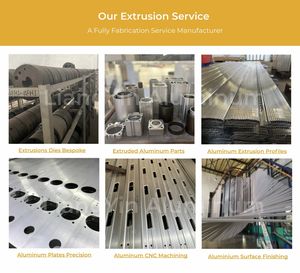 Liangyin Fabrik Maßgefertigte OEM ODM Extrudierte Aluminium-Profil-Lüfterblätter 6063 T5 Fabrikpreis für Windkühlturm HVLS-Blätter - Product Image 5