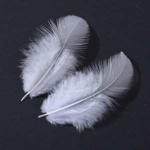 100 pièces/sac plumes de <span class=keywords><strong>poule</strong></span> de coq blanchies et teintes pour carnaval pour la décoration de fête sans jeviews - Product Image 3