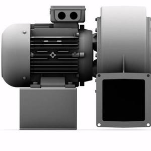 Motor de Ventilador Centrífugo ELEKTROR 1450 RPM con Rodamiento de Bolas de Hierro Fundido para Uso Industrial - Product Image 2