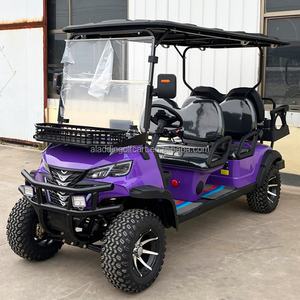 Carrito de golf con carritos de golf de alta calidad <span class=keywords><strong>Buggies</strong></span> <span class=keywords><strong>Alquiler</strong></span> de carritos de golf en Isla Sur - Product Image 3