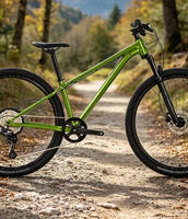 13,7 kg leichtes Offroad-Mountainbike, Lockout-Federung, Shimano 9-Gang, hydraulische Scheibenbremse