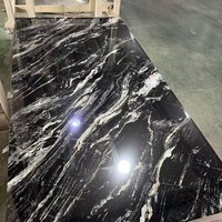 Panneaux muraux en PVC marbré avec revêtement UV pour projets de décoration