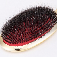Pagaie de placage argent pour femmes, antistatique, poils en Nylon, brosse de Massage ionique, ensemble de brosses à cheveux pour femmes