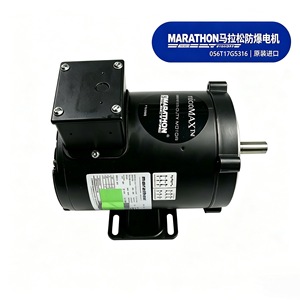 Moteur industriel asynchrone triphasé antidéflagrant Marathon 056T17G5316 - Product Image 2