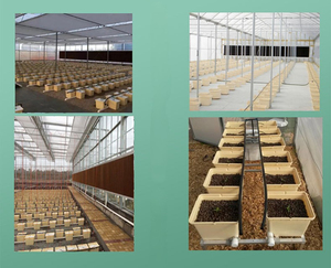 C71 Agriculture Serre Hydroponique Système Néerlandais Seaux Système Pour Serre Jardin Agriculture Carré <span class=keywords><strong>En</strong></span> Plastique Néerlandais Seau - Product Image 5