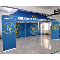 Sunshine Outdoor 6x3 Werbung einfach stehen 10x20 Pavillon Baldachin Zelt mit Fenster Feder Flagge Roll Up Banner