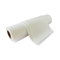 A3 A4 A3 + 30cm 33cm 42cm 60cm papier dtf transparent rouleau de film pet pour impression numérique à jet d'encre