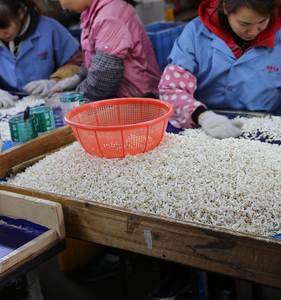 <span class=keywords><strong>Connecteur</strong></span> de câble électrique isolé résistant au feu de grande taille KX-C8, haute température, UL94-V0, fourni par une usine chinoise - Product Image 5