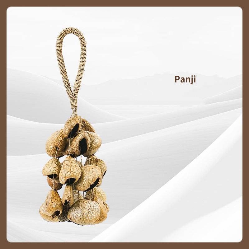Panji 30 coquilles