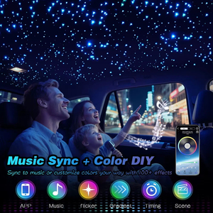 Lumière de ciel étoilé pour voiture, lampe d'ambiance à fibres optiques pour la maison, contrôle musical, éclairage de plafond RGB 12W, interface 1/2, LED 8 couleurs - Product Image 6